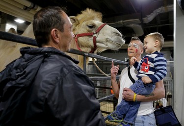 Ringling Bros. boss clown Sandor Eke, centre, holds his two-year-old son Michael up to pet a camel before performing in a show, Friday, May 5, 2017, in Providence, R.I. "When you're a circus kid you have your own zoo," said Eke. (AP Photo/Julie Jacobson)