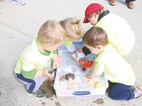 Children played with toys in some water at a barbecue after going for a walk with their moms Saturday morning. In this photo are, from left, two-year-old Rhodes triplets Riley, Leah, and Mason, with four-year-old Joshua Jordan in the red hat.