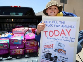 Ten-year-old Christopher Casey sits on the tailgate of a truck partially filled with cat food and supplies in the Walmart parking lot on Saturday May 20, 2017 in Trenton, Ont.  Casey was collecting donations for the Loyalist Humane Society. Tim Miller/Belleville Intelligencer/Postmedia Network