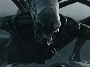 "Alien: Covenant." (Supplied)