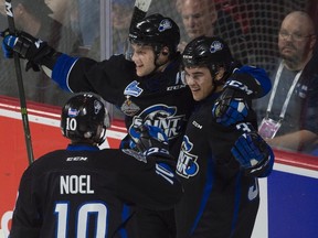 Saint John Sea Dogs left winger Cole Reginato celebrates his goal with teammates Nathan Noel and Bailey Webster during Memorial Cup action against the Seattle Thunderbirds in Windsor on May 23, 2017. (THE CANADIAN PRESS/Adrian Wyld)