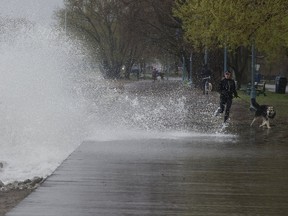 Torontonians brave the wet weather along the waterfront earlier this month. The Weather Network predicted on Wednesday that GTA residents will be spared a repetition of the conditions that made for a sticky summer last year. (STAN BEHAL/TORONTO SUN)