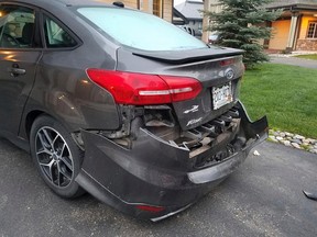 This Monday, May 22, 2017, photo shows a damaged delivery vehicle in Steamboat Springs, Colo. A bear damaged the bumper of the car used to deliver doughnuts in Colorado before it tried to claw its way through the trunk to get inside. (Kim Robertson via AP)