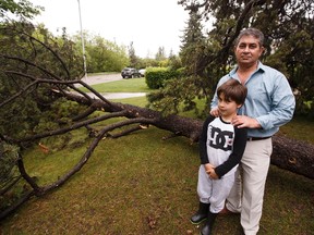 Homeowner Sam Attia and his son Denton are seen next to a downed tree, that dates before 1912, after a strong storm brought the tree down in the yard at 6256 Ada Boulevard in Edmonton on Wednesday, May 24, 2017.