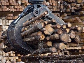 Forestry remains a strong sector in Canada's economy. according to Derek Nighbor, CEO of the Forest Products Association of Canada.