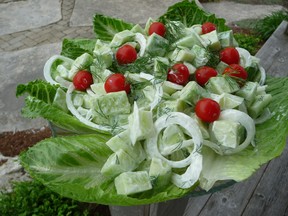 Nothing beats a summer salad with cucumbers and cherry tomatoes. Gardening specialist John DeGroot says one of the biggest challenges in growing cucumbers is finding enough space in your garden, as the plant loves to sprawl. If space is at a premium, consider putting up a trellis so the cucumber vines can grow vertically rather than horizontally. (John DeGroot photo)