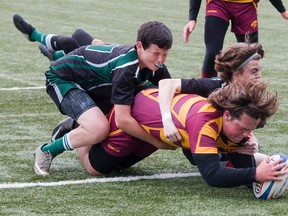Zac Dodge of the Regiopolis-Notre Dame Panthers, with Holy Cross Crusaders Payton Gauthier, left, and Brady Perkins, right, in tow, scores his team's first try in the Kingston Area Secondary Schools Athletic Association junior boys rugby championship game Friday at Nixon Field. Regi won the game, 31-0. (Tim Gordanier/The Whig-Standard)