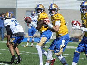 Quarterbacks Malcolm Bell, Matt Nichols and Dominique Davis (from left) drop back to pass during Winnipeg Blue Bombers rookie camp on the University of Manitoba campus in Winnipeg on Wed., May 24, 2017. Kevin King/Winnipeg Sun/Postmedia Network