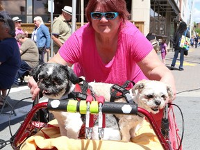 Birgit Lingenberg and her service dogs, Daniel and Lucky, attended Downtown Sudbury's yard and sidewalk sale in Sudbury, Ont. on Saturday May 27, 2017. The event featured 170 tables. John Lappa/Sudbury Star/Postmedia Network