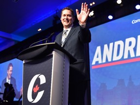 Andrew Scheer speaks after being elected the new leader of the federal Conservative party at the federal Conservative leadership convention in Toronto on Saturday, May 27, 2017. (THE CANADIAN PRESS/Frank Gunn)