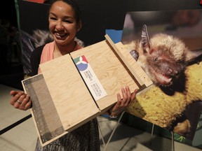 Researcher Cylita Guy at the  Ontario Science Centre's exhibit Wildlife Rescue Stories of Survival. (JACK BOLAND, Toronto Sun)
