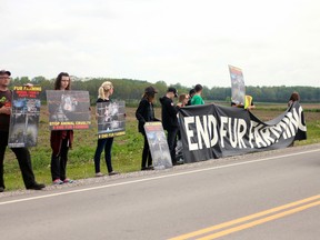 A group of protesters from KOALA stand outside of a mink ranch in Norwich on Saturday, launching their campaign End Fur Farming.