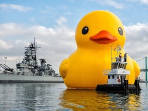 Giant rubber duck on six-city tour to celebrate Canada's 150th birthday, ending in Brockville Aug. 10-13.