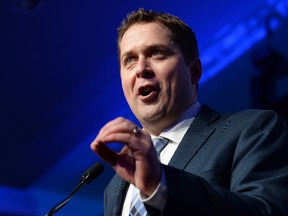 Andrew Scheer speaks after being elected the new leader of the federal Conservative party at the federal Conservative leadership convention in Toronto on Saturday, May 27, 2017. THE CANADIAN PRESS/Frank Gunn