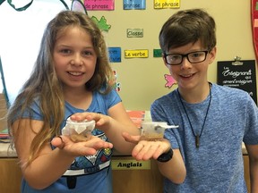 Grade 4 students at Ecole Ste-Therese in Val Therese are discovering the evolution and transformation of the butterfly by observing the life cycle of these insects, from caterpillar to the adult stage. Supplied photo