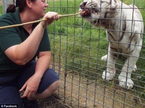 Rosa King, 34, had worked at the Hamerton Zoo Park for 14 years and was devoted to the big cats in her charges, friends and colleagues said. (FACEBOOK/PHOTO)