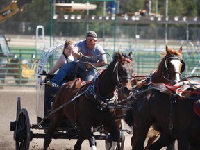 As chuckwagon race teams started arriving over the weekend at Evergreen Park, south of Grande Prairie for the upcoming Grande Prairie Stompede, May 31-June 4, Western Chuckwagon Association driver Dean Dreger hit the track on Saturday May 27 to work in some of his horses. Dreger is the reigning WCA tour champ. Logan Clow/Daily Herald-Tribune