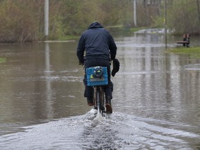 TheToronto Islands will be closed until at least July 31 due to flooding. (STAN BEHAL/TORONTO SUN)