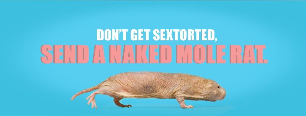 Send naked mole rat memes instead of nude photos: Child protection