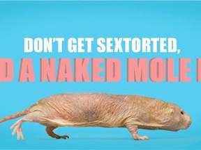 An image that is part of the Canadian Centre for Child Protection's Don't Get Sextorted, Send a Naked Mole Rat campaign is shown in a handout photo. The centre has some advice for boys who are asked to send a nude photo to someone - send a meme of a naked mole rat instead. Canadian Centre for Child Protection/Handout