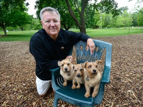 Terry Shevchenko was at the Greenway Park off-leash small dog park Tuesday with his three Norfolk terriers. Shevchenko says the park has so many short-comings users feel like ?second-class citizens.? (MORRIS LAMONT/THE LONDON FREE PRESS)