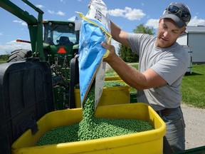 Dave McEachren, Middlesex representative on the Grain Growers of Ontario board of directors, loads soybean seeds before heading out to his fields north of Glencoe. McEachren says the spring “has been a real test of patience.” (MORRIS LAMONT, The London Free Press)