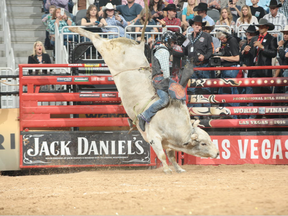 Lachlan Richardson rides Jared Allen's Pro Bull Team's Milky Jones for 83.75 during the fourth round of the Built Ford Tough series PBR World Finals. (Andy Watson, Bull Stock Media)