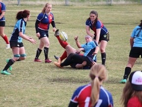 Photo supplied by Parkland Sharks Rugby.