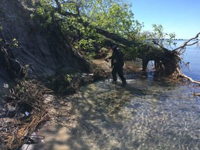 Frontenac Islands Mayor Denis Doyle on Wednesday walks ashore after retrieving an empty beer bottle from the water at Big Sandy Bay on Wolfe Island, where high water levels have washed away much of the beach and eroded dunes. (Elliot Ferguson/The Whig-Standard)