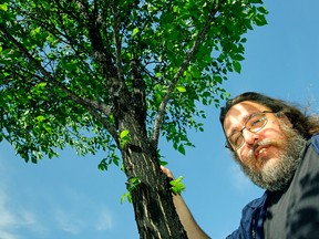 Mike Jenkins (Biological Science Technician, City of Edmonton, stands beside an elm tree that has been infected with European elm scale on June 8, 2017. (PHOTO BY LARRY WONG/POSTMEDIA) Story by Gordon Kent