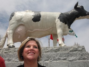 A frequent backdrop for community events, Woodstock?s Snow Countess monument to a world champion cow looms large over Ontario NDP leader Andrea Horwath during a campaign stop in the 2014 provincial election.