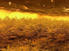 Three U.K. men have admitted to converting a nuclear bunker into a pot farm, The Guardian reports.(Wiltshire Police)