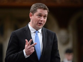 Conservative Leader Andrew Scheer (The Canadian Press)