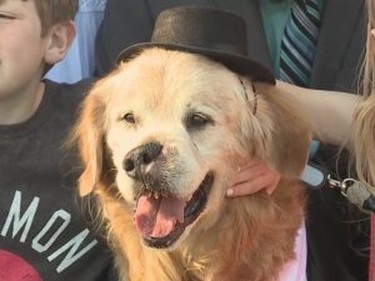 When Mr. Molson, a 12-year-old golden retriever, was diagnosed with terminal cancer in March his owner - Tim Griffin, 36, of Red Lion, Pennsylvania - decided to help the pooch fulfill his bucket list, which included getting married.