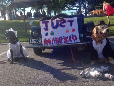 When Mr. Molson, a 12-year-old golden retriever, was diagnosed with terminal cancer in March his owner - Tim Griffin, 36, of Red Lion, Pennsylvania - decided to help the pooch fulfill his bucket list, which included getting married.