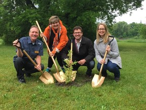 (Left to right) Ken Fosty (community advisor at Tree Canada), Coun. Janice Lukes (South Winnipeg-St. Norbert), Coun. Matt Allard (St. Boniface) and Kate Fenske (regional manager of public and government affairs at CN) take part in a tree planting event at Glengarry Park in south Winnipeg on Saturday, June 10, 2017. The City of Winnipeg announced Saturday that it had been awarded two grants that will go towards planting trees and scrubs in natural areas and other green spaces in the city. The city received $1,600 from Tree Canada and its Tree to Our Nature Canada 150 Legacy Program and $25,000 from the CN EcoConnexions - From the Ground Up program. JASON FRIESEN/Winnipeg Sun/Postmedia Network