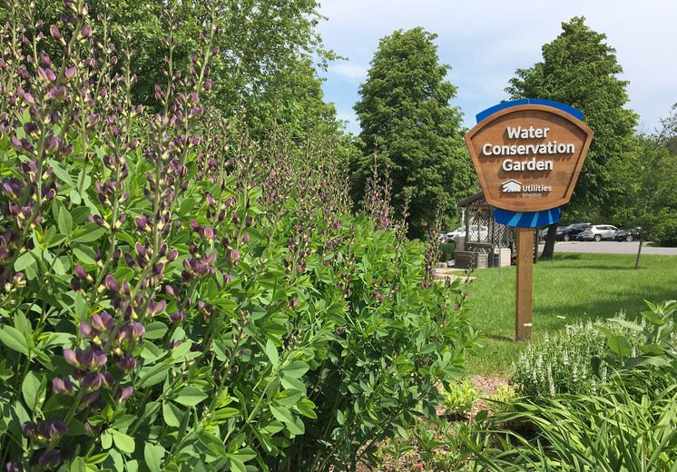 Water conservation gardens in full bloom The Kingston Whig Standard