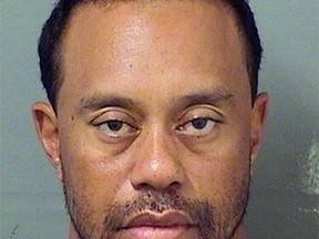 In this handout photo provided by The Palm Beach County Sheriff's Office, golfer Tiger Woods is seen in a police booking photo after his arrest on suspicion of driving under the influence (DUI) May 29, 2017 in Jupiter, Florida. (Photo by The Palm Beach County Sheriff's Office via Getty Images)