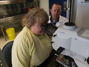 Jason Acker (right) and Janet Elliot (left) are joining forces to help end the short organ transplant windows that result in countless missed opportunities to save lives. Taken on Tuesday June 13, 2017,  in Edmonton. Greg Southam / Postmedia