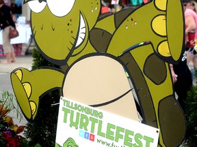 turtlefestsign