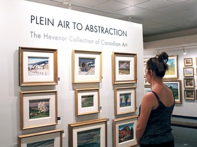 Madison Wild checks out some of the Canadian art at the Plein Air to Abstract: The Hevenor Collection of Canadian Art at the Annandale National Historic Site on Sunday. (BRUCE CHESSELL/Postmedia Network)