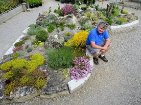 Parkway Gardens owner Erik Jacobsen is an advocate of raised bed gardens like this alpine beauty. (MORRIS LAMONT, The London Free Press)