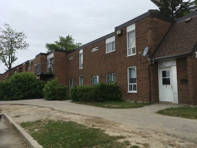 Driftwood gang problems won't disappear overnight Toronto Sun