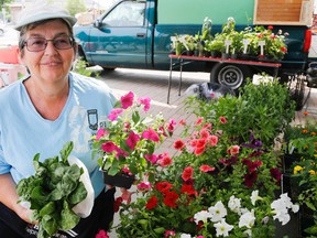 West Lake farmer Sharon Kleinsteuber holds a spinach-chard-cross plant and impatiens at the Belleville Farmers' Market Saturday.. She's among the eastern Ontario farmers trying to cope with a wet, cool spring.
