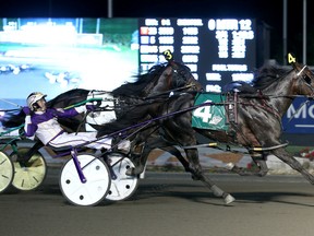 Fear The Dragon won the North America Cup in exciting fashion last night. Driven by David Miller, the horse made a late charge. Clive Cohen Photo