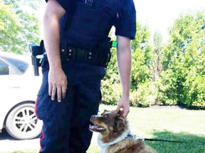 Const. Weber of the Greater Sudbury Police poses with a dog he rescued from a hot vehicle on Friday. (Photo supplied)