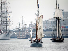 Tall ships participate in Sail Boston's Parade of Sail, Saturday, June 17, 2017, in Boston. (AP Photo/Michael Dwyer)