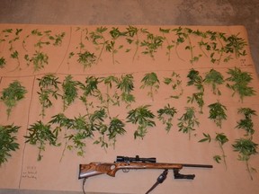 RCMP have charged three in a grow-op bust in Clearhills County, Alta.