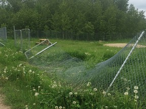 Vandals cause damage to dog park