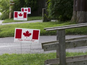 Canada flag lawn signs have adorn front lawns on Duchess Ave. in London on Wednesday. (DEREK RUTTAN, The London Free Press)